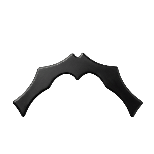 Bat Begins