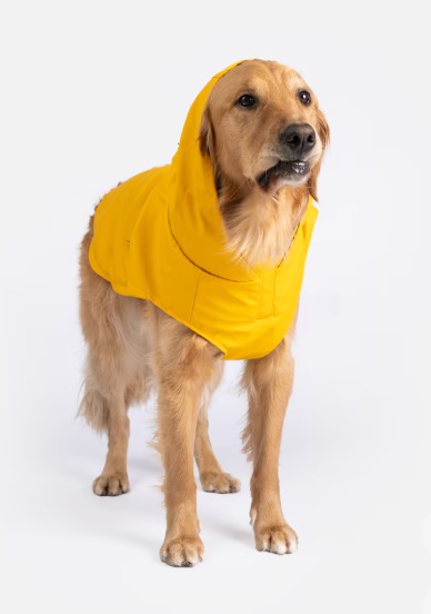 Impermeable para perro 