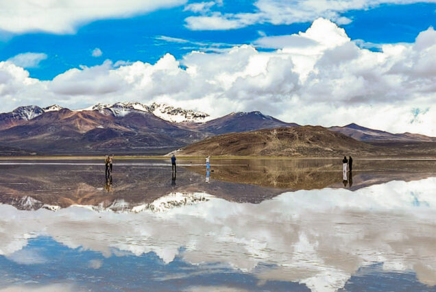 Tour Laguna Salinas y Aguada Blanca