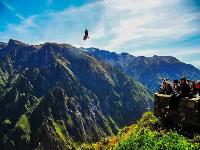 Colca Full Day