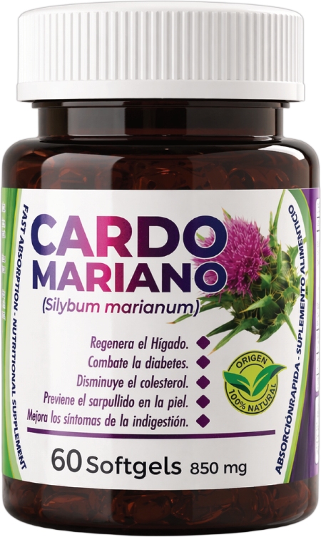 Cardo Mariano