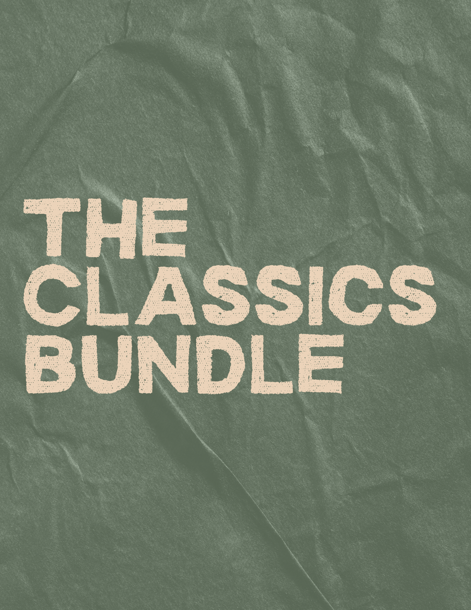 The CLASSICS Novel Study BUNDLE