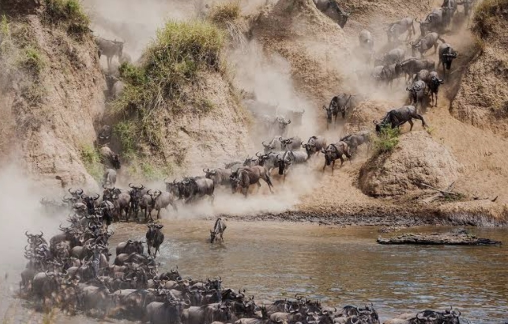 Africa Beyond Borders Safaris