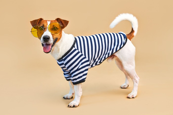 uéter cálido de rayas para perros