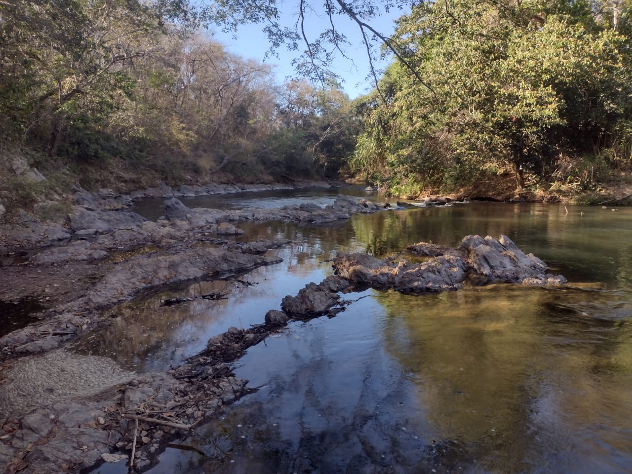 Chácaras com 5000 metros  Cocalzinho de Goiás