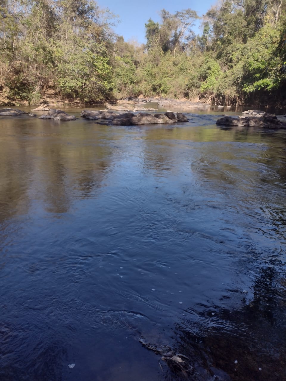 Chácaras com 5000 metros  Cocalzinho de Goiás