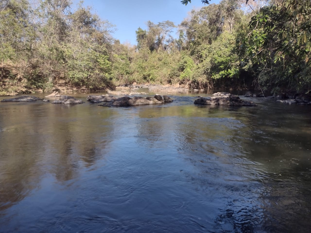 Chácaras com 5000 metros  Cocalzinho de Goiás