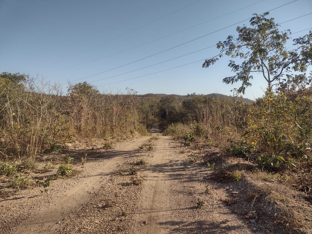 Chácaras com 5000 metros  Cocalzinho de Goiás