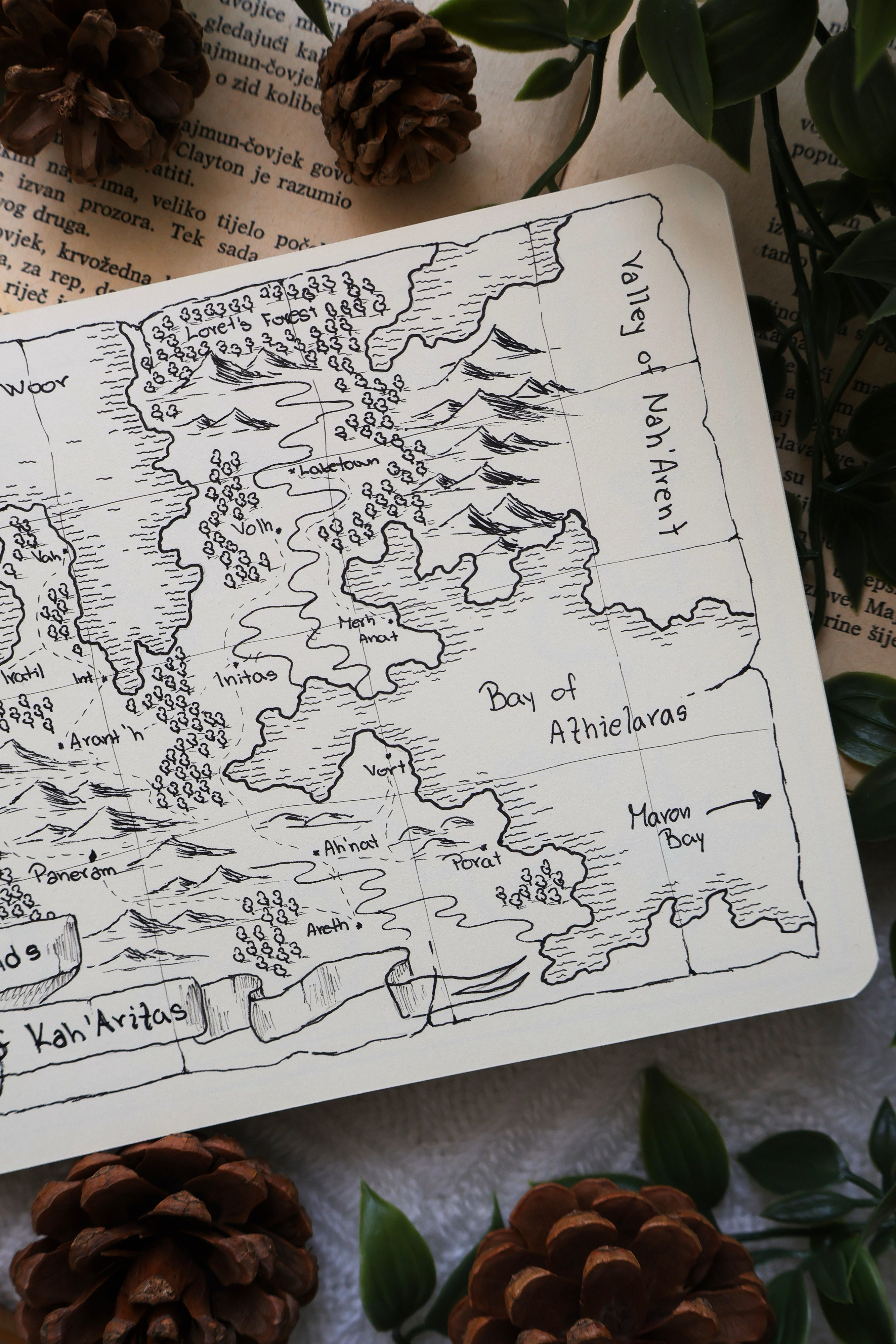 Fantasy World Map (Digital)