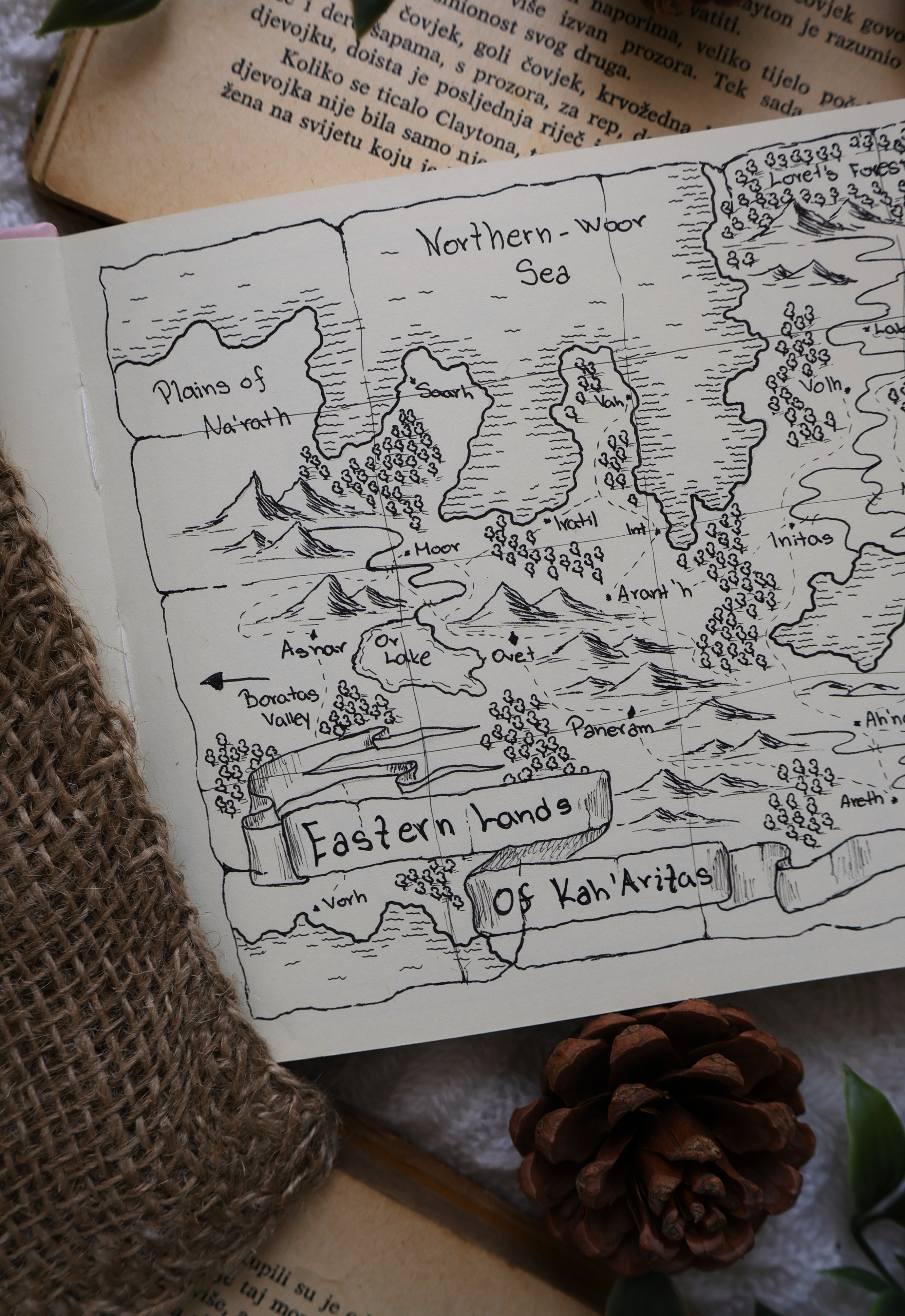 Fantasy World Map (Digital)