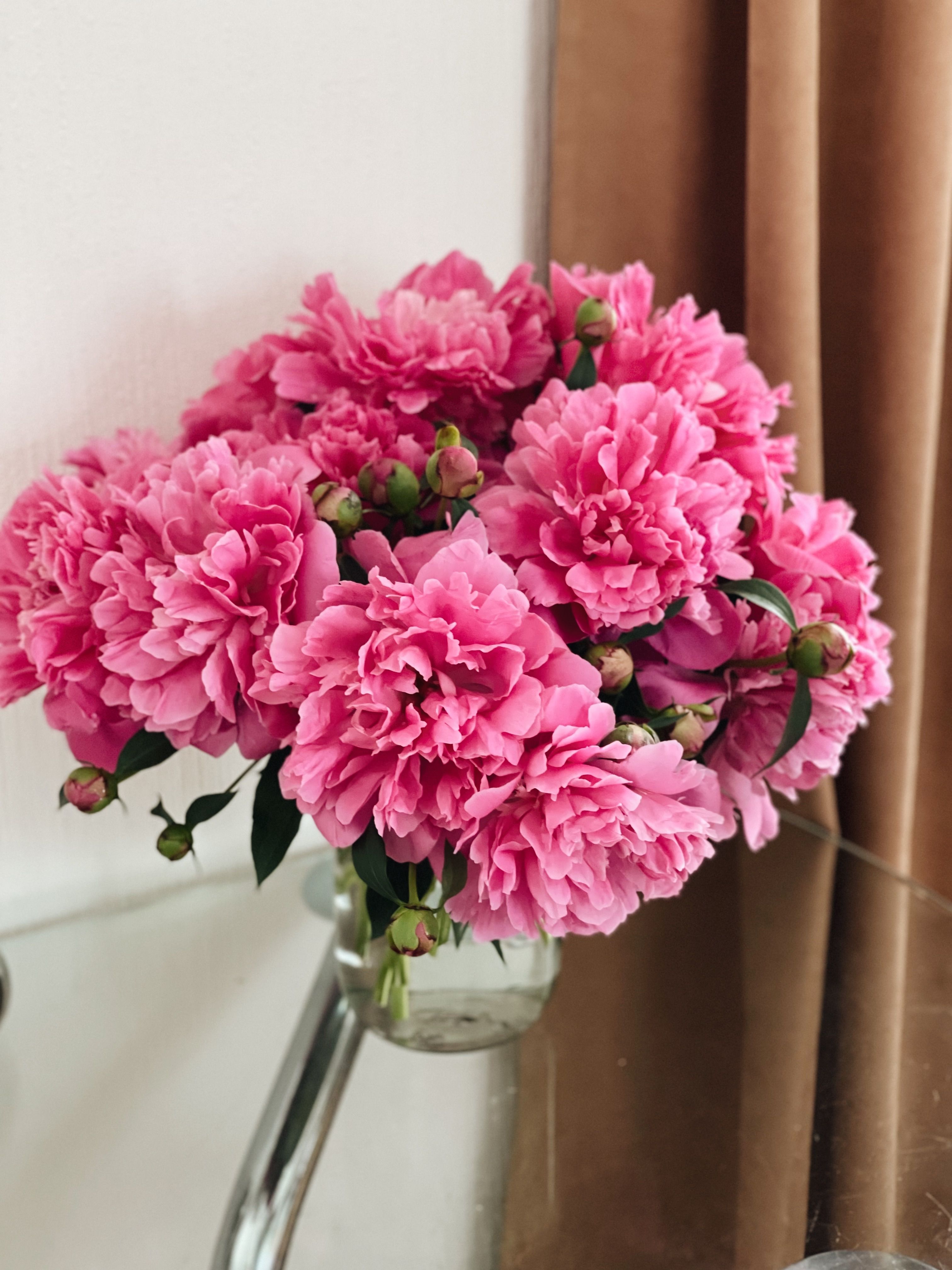 Pink Peonies - 10 Stems Per Bunch