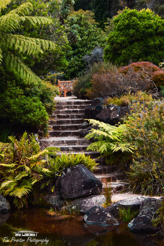 A place to rest