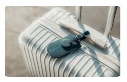 Luggage track