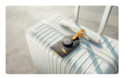 Luggage track