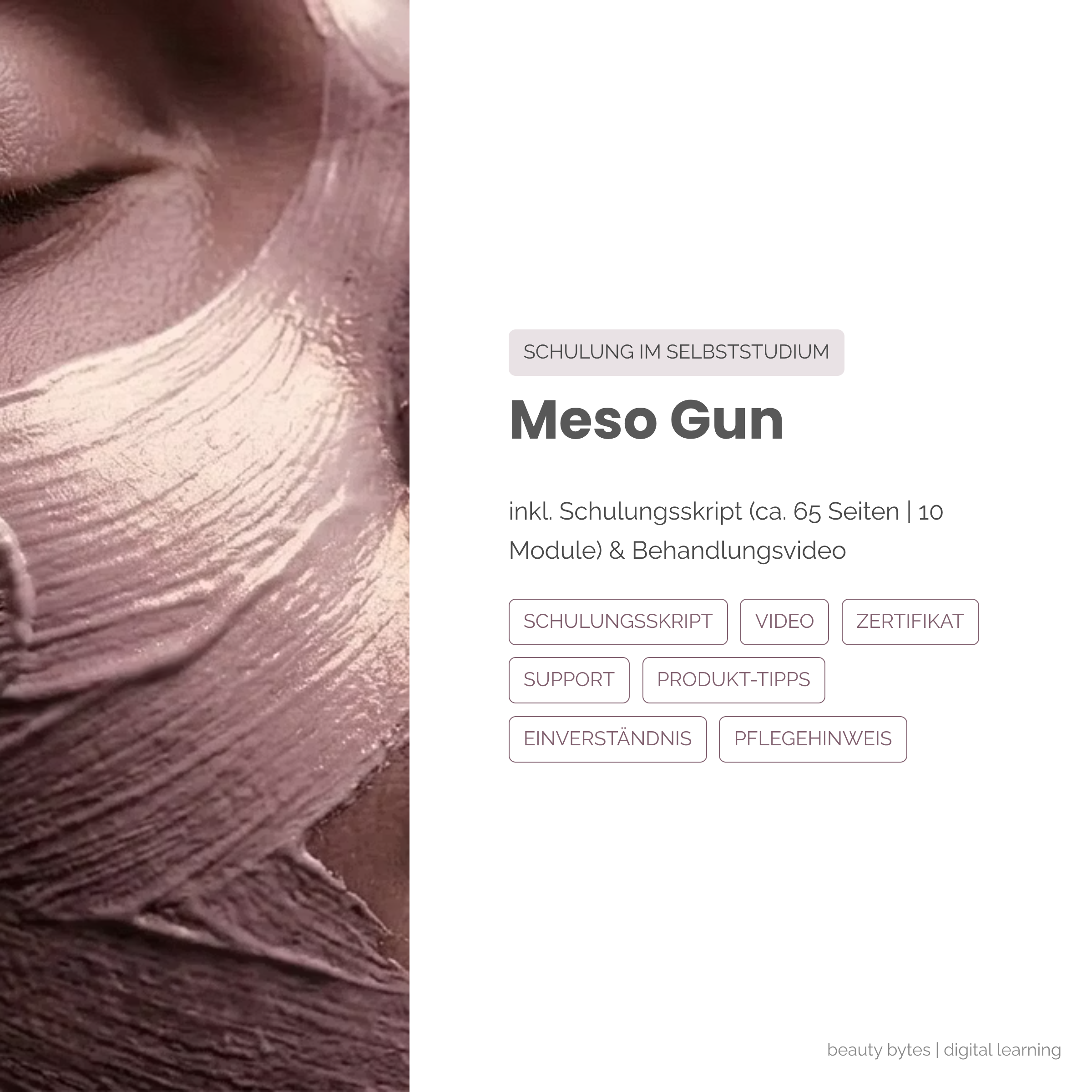 Meso Gun