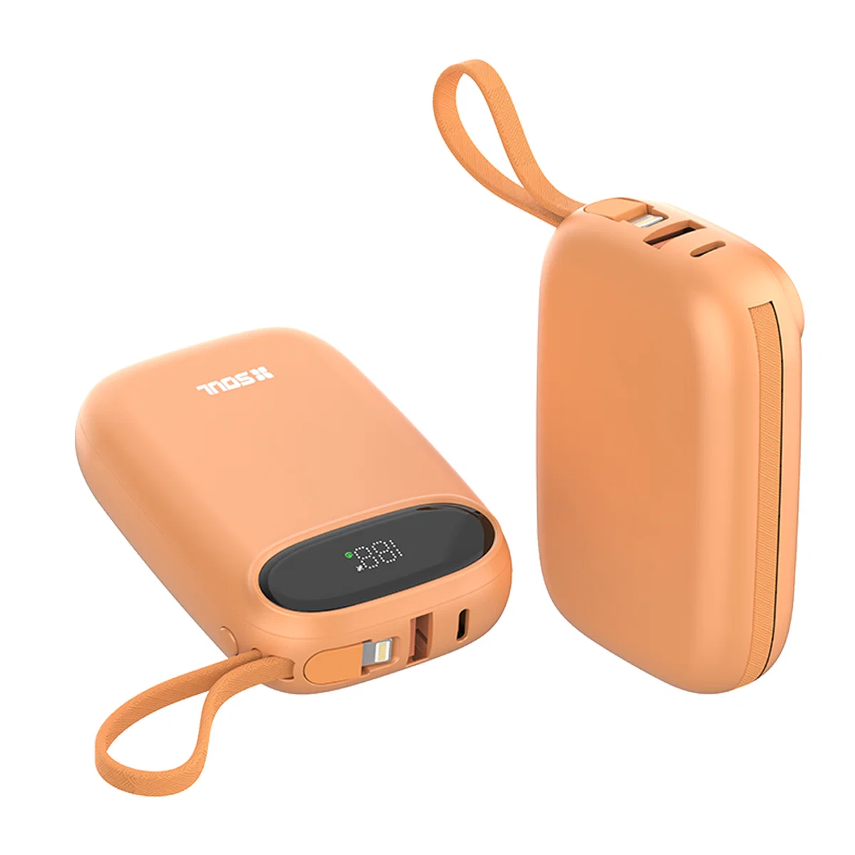 POWER BANK PRO100