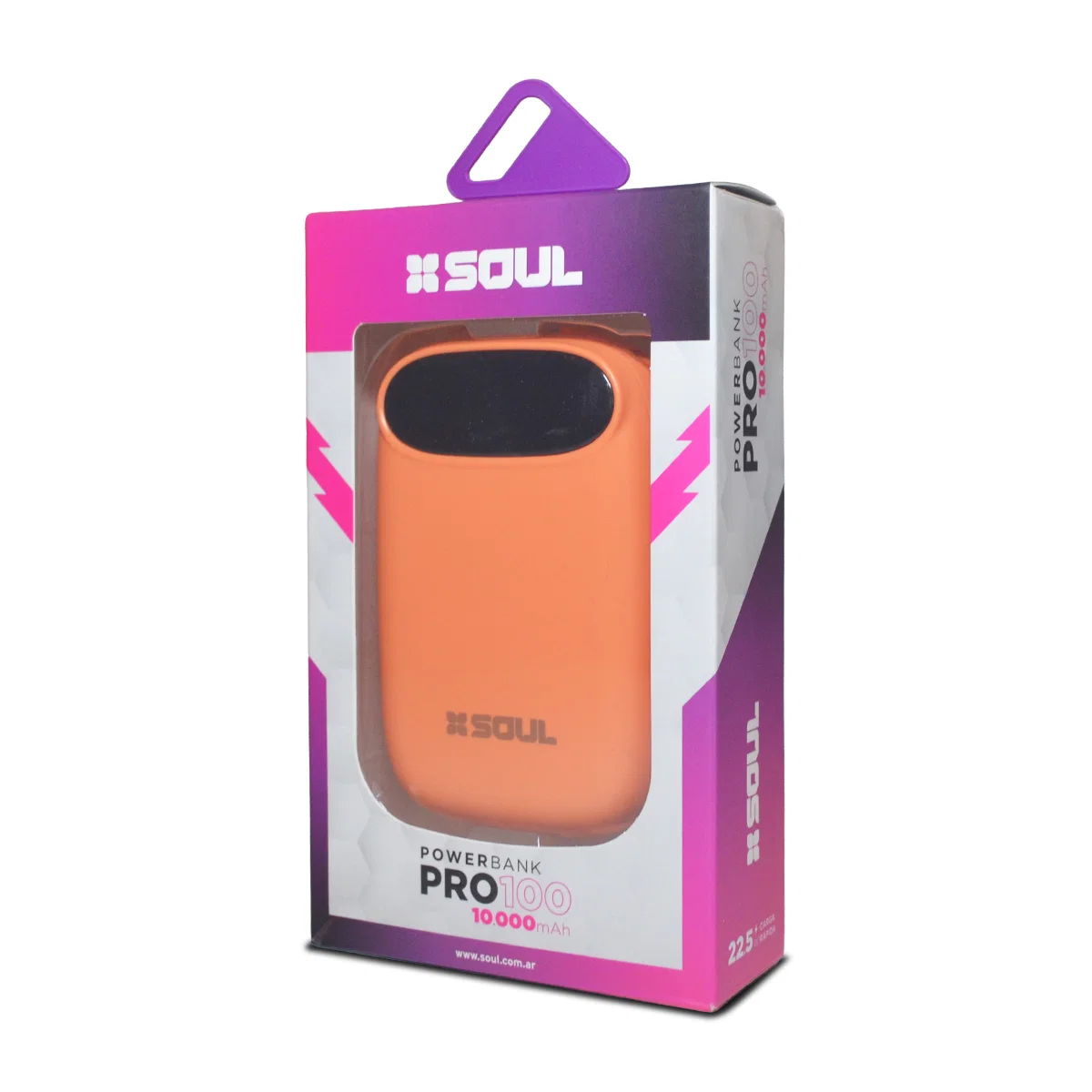 POWER BANK PRO100