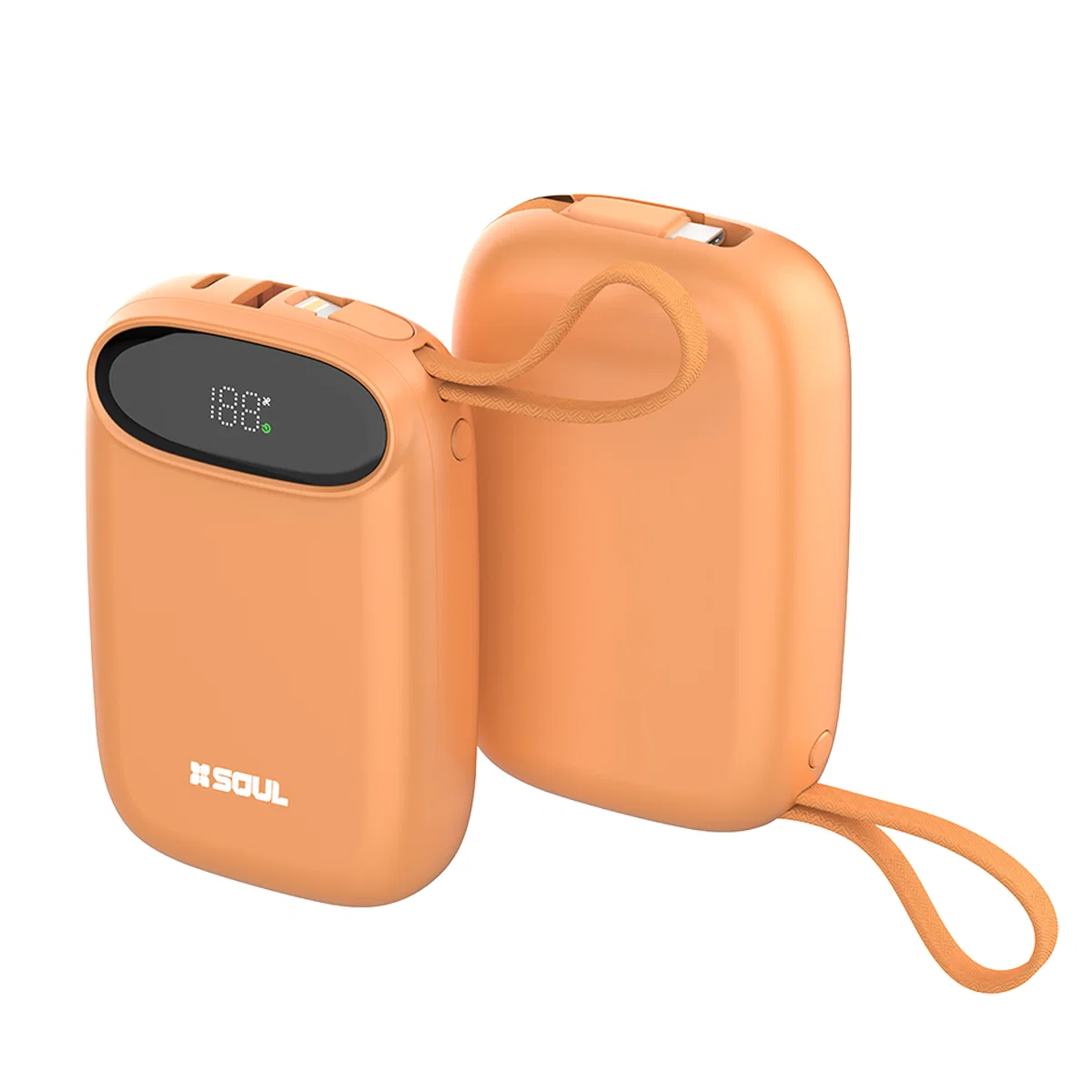 POWER BANK PRO100