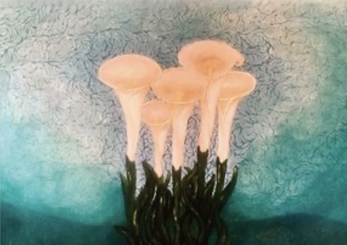 Five Calla lilies