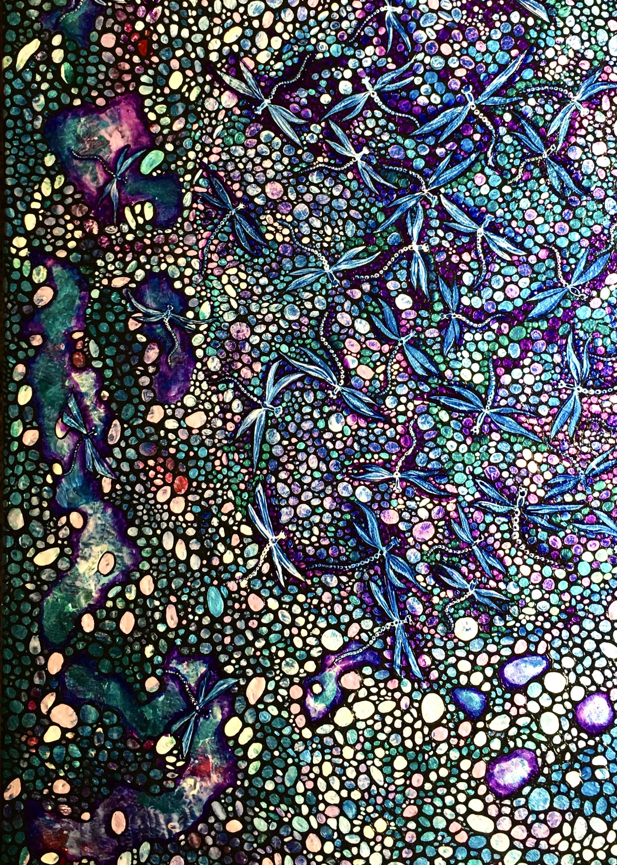 42 dragonflies