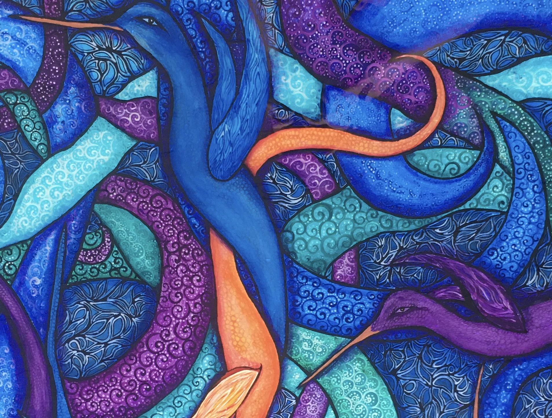 Hummingbird gathering