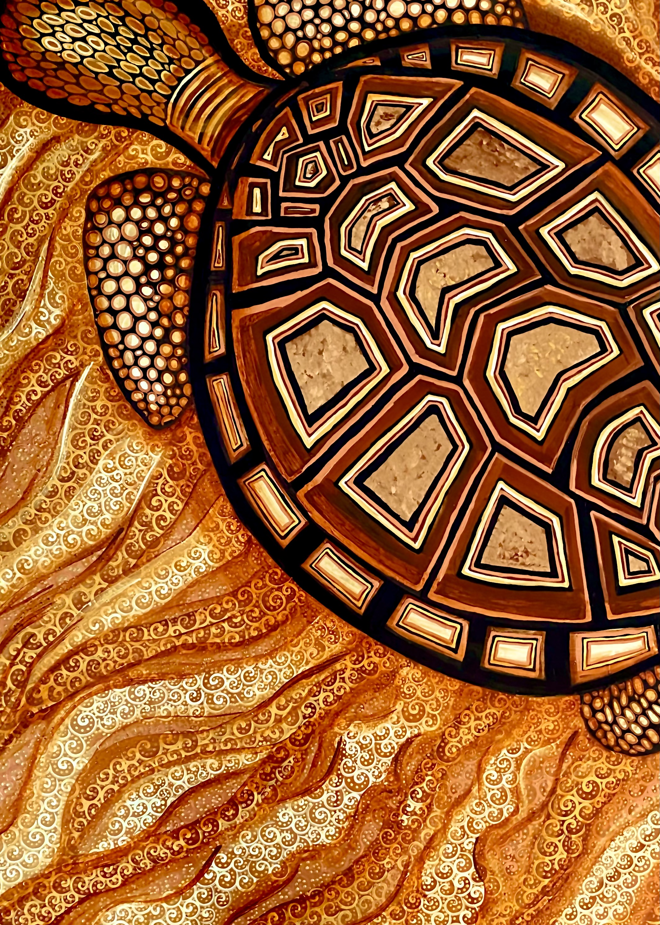 Desert Tortoise 