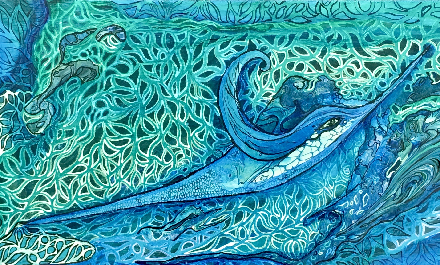 Ocean hummingbird