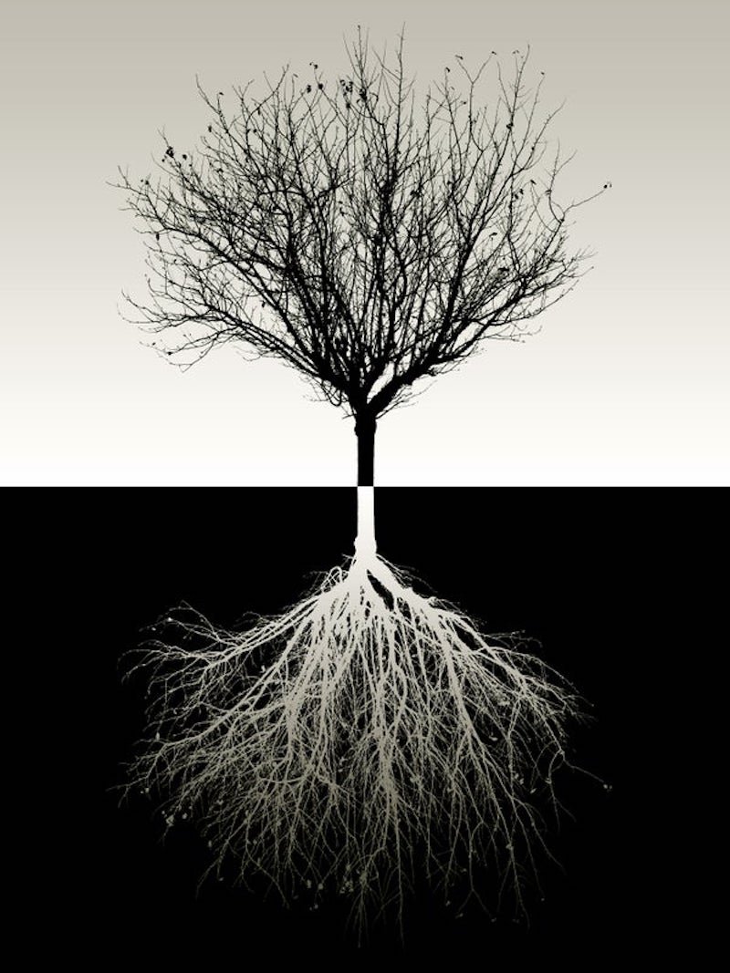 Root Specific Therapy
