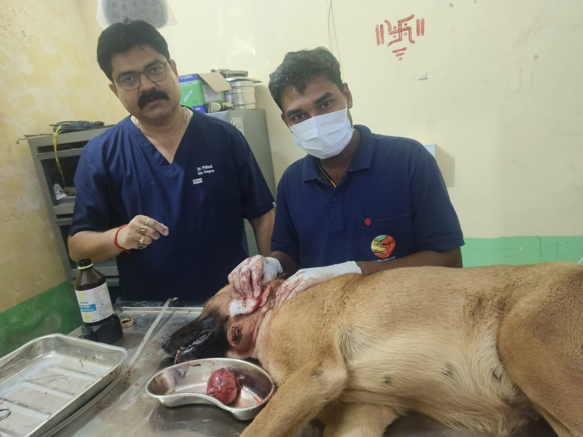 Veterinary Surgery Booking