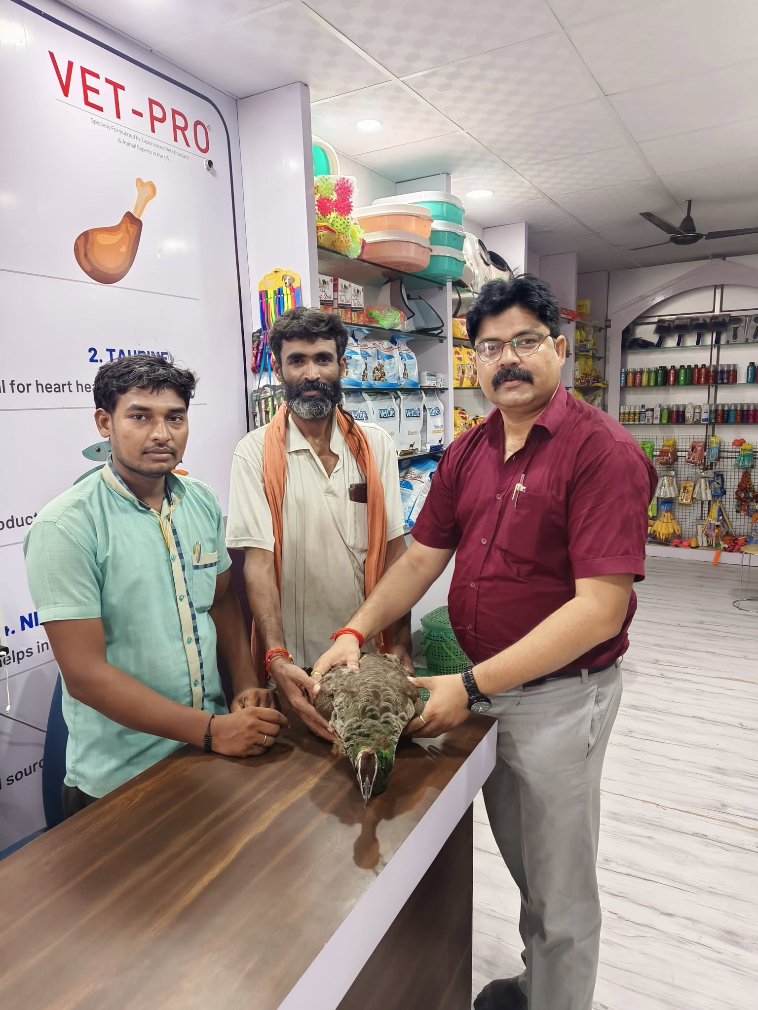 Veterinary Clinic Consultation Booking