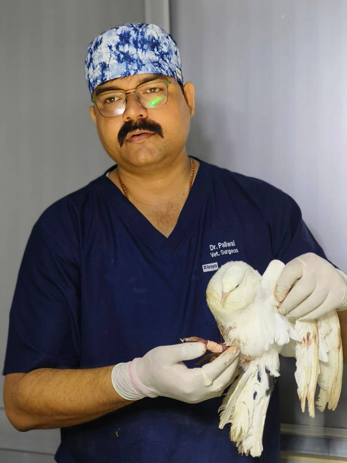 Avian Veterinary Appointment