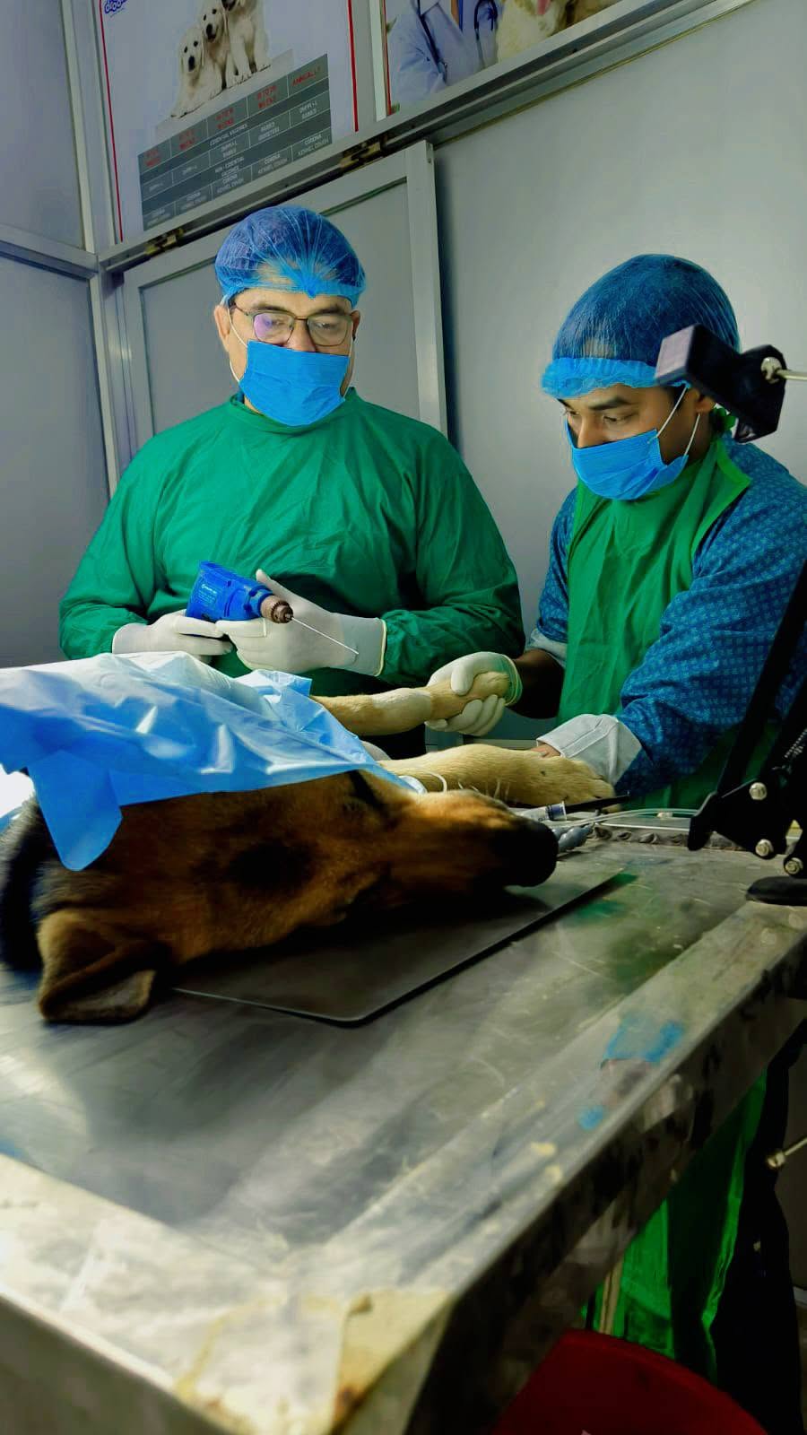 Veterinary Surgery Booking