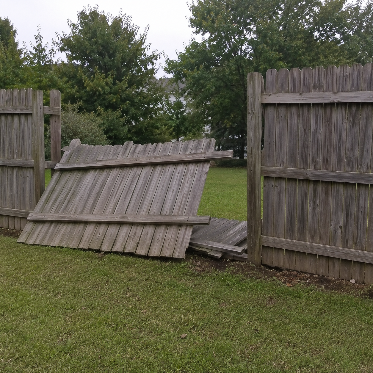 Fence Removal