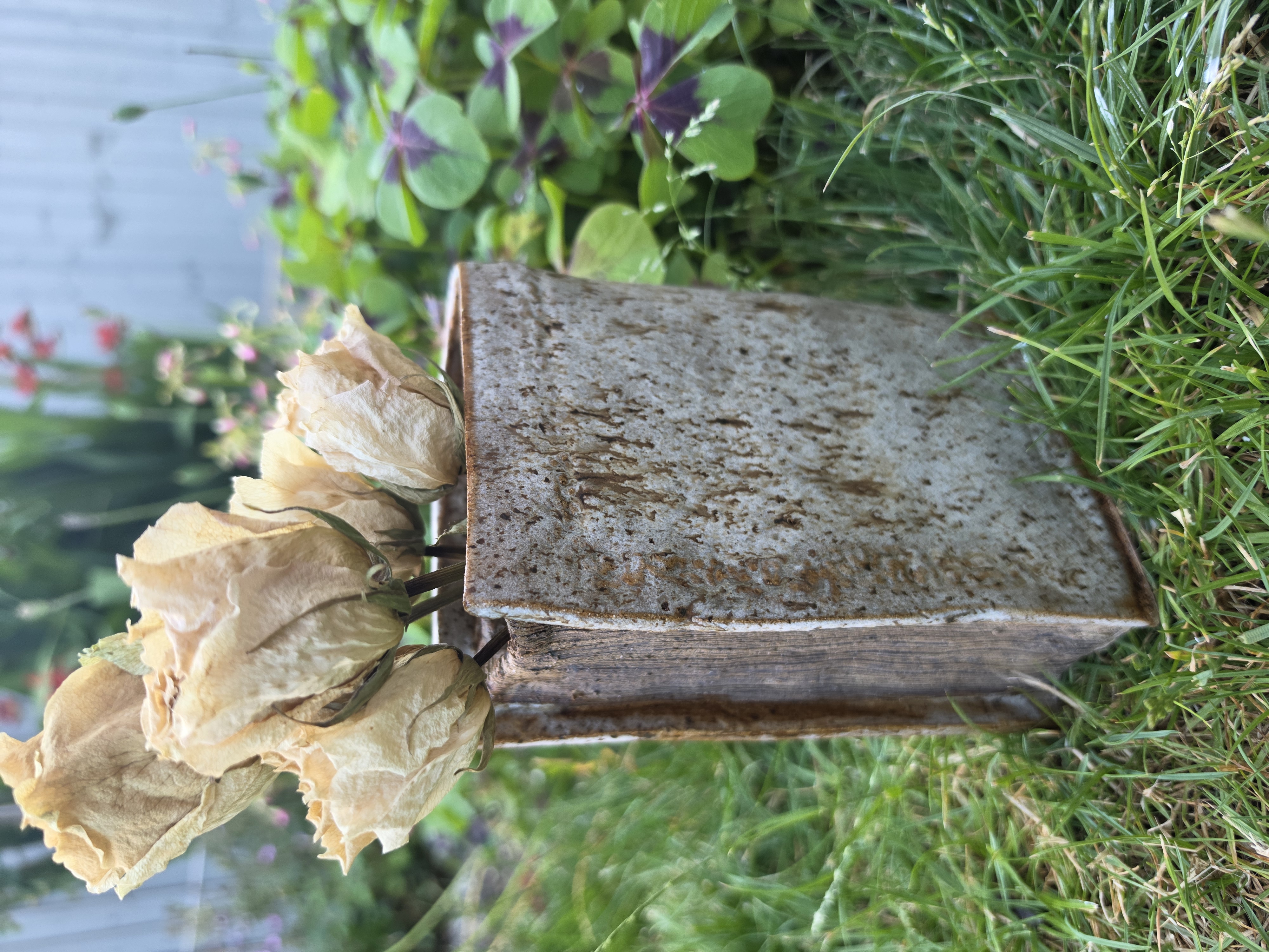 Rooted Tales – Your Living Book