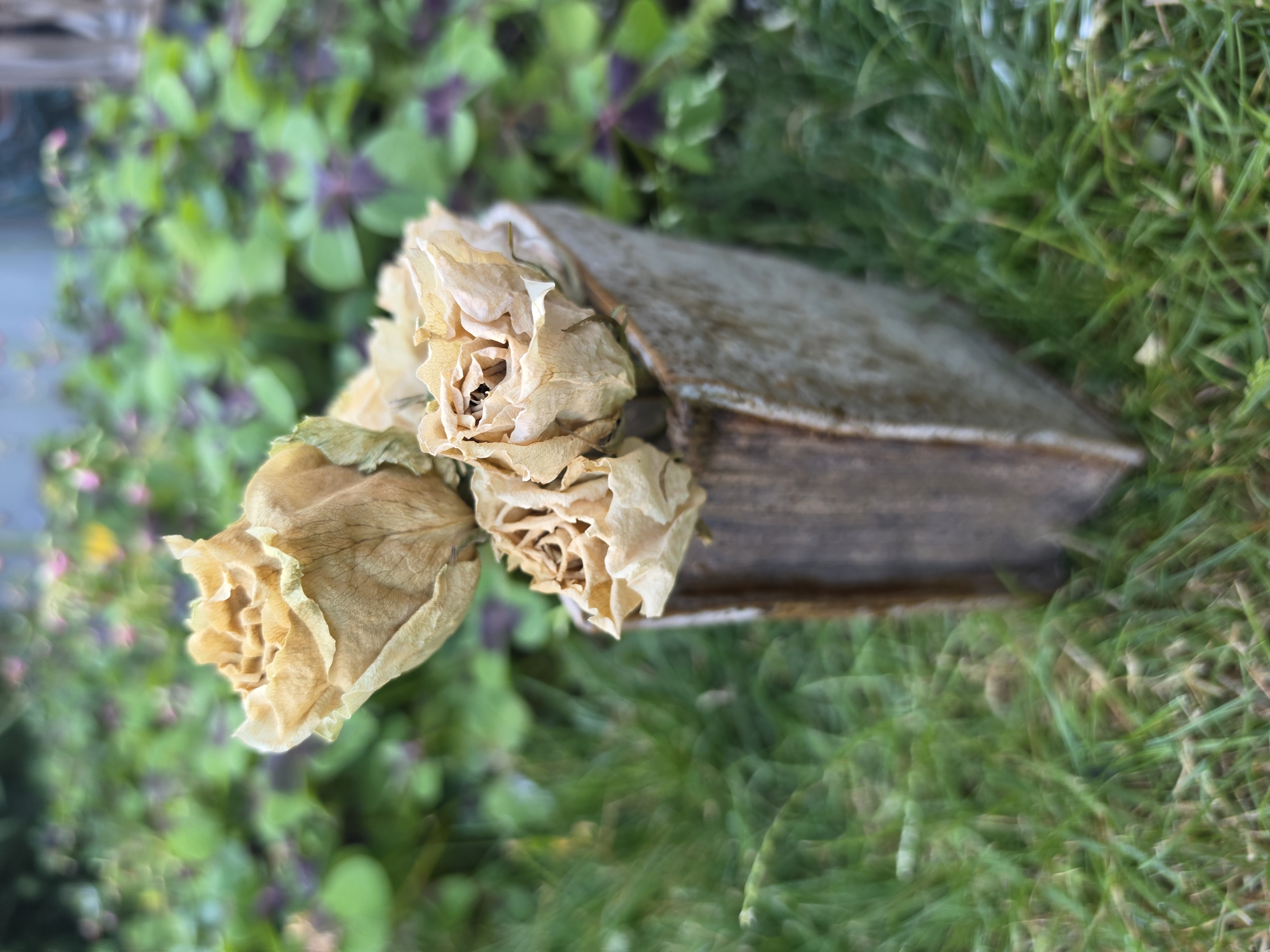 Rooted Tales – Your Living Book
