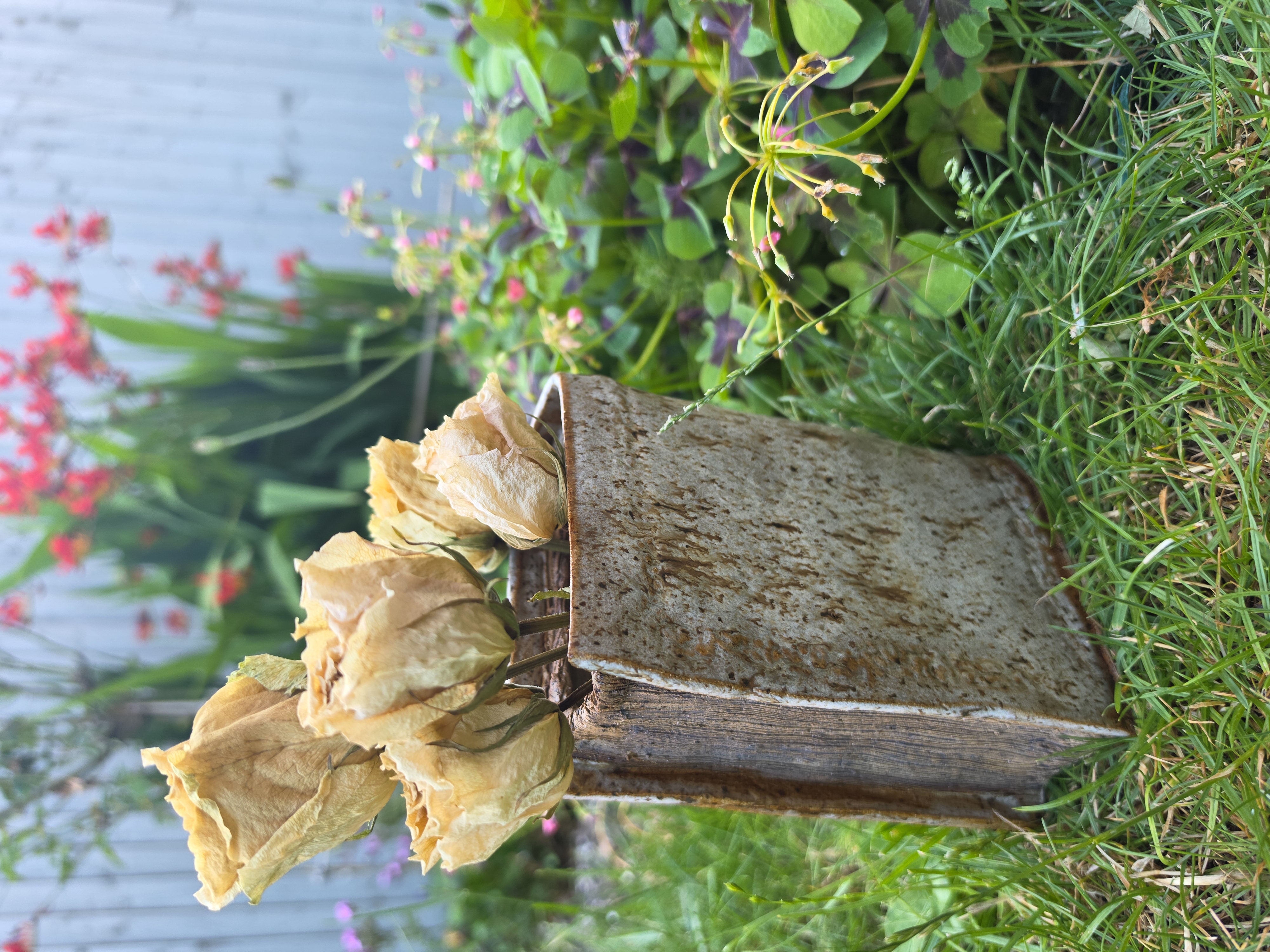 Rooted Tales – Your Living Book