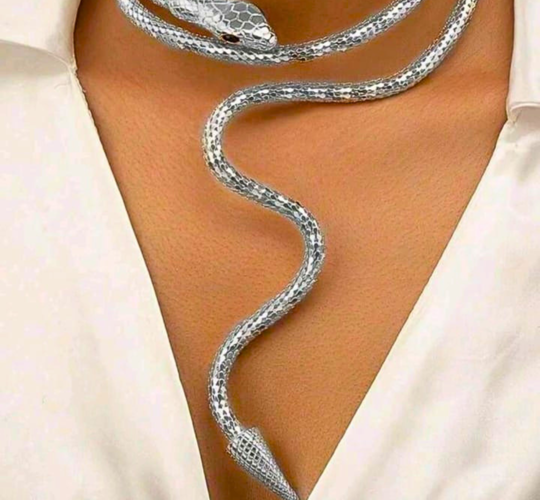 Colar Serpente Prateado