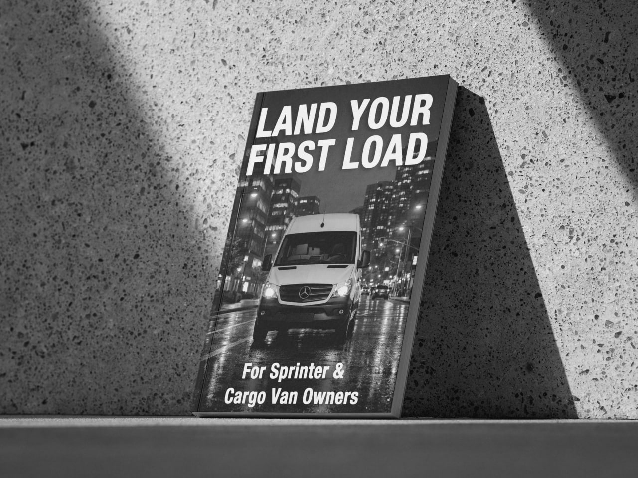 TURN YOUR SPRINTER INTO A PROFITABLE BUSINESS