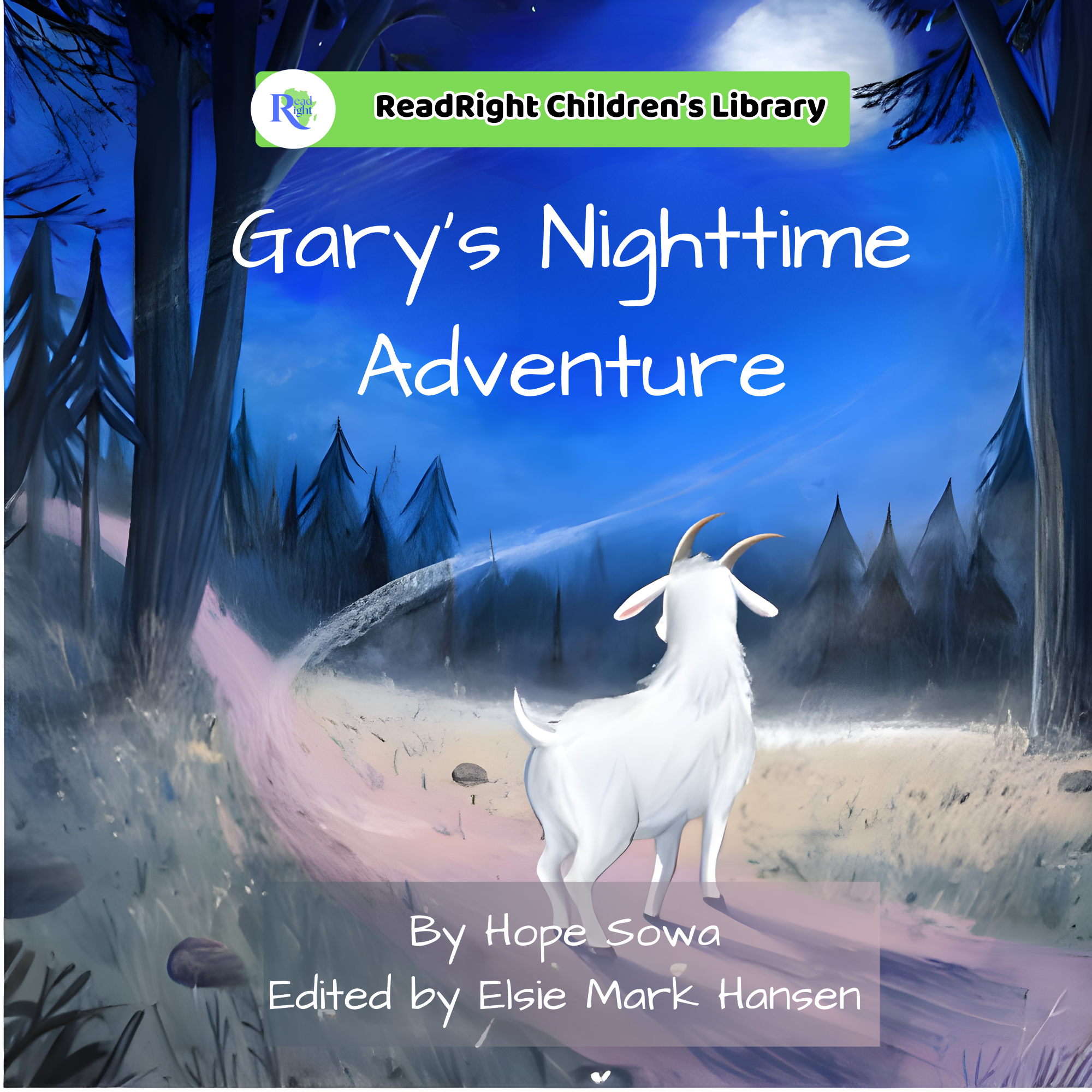 Gary's Nighttime Adventure