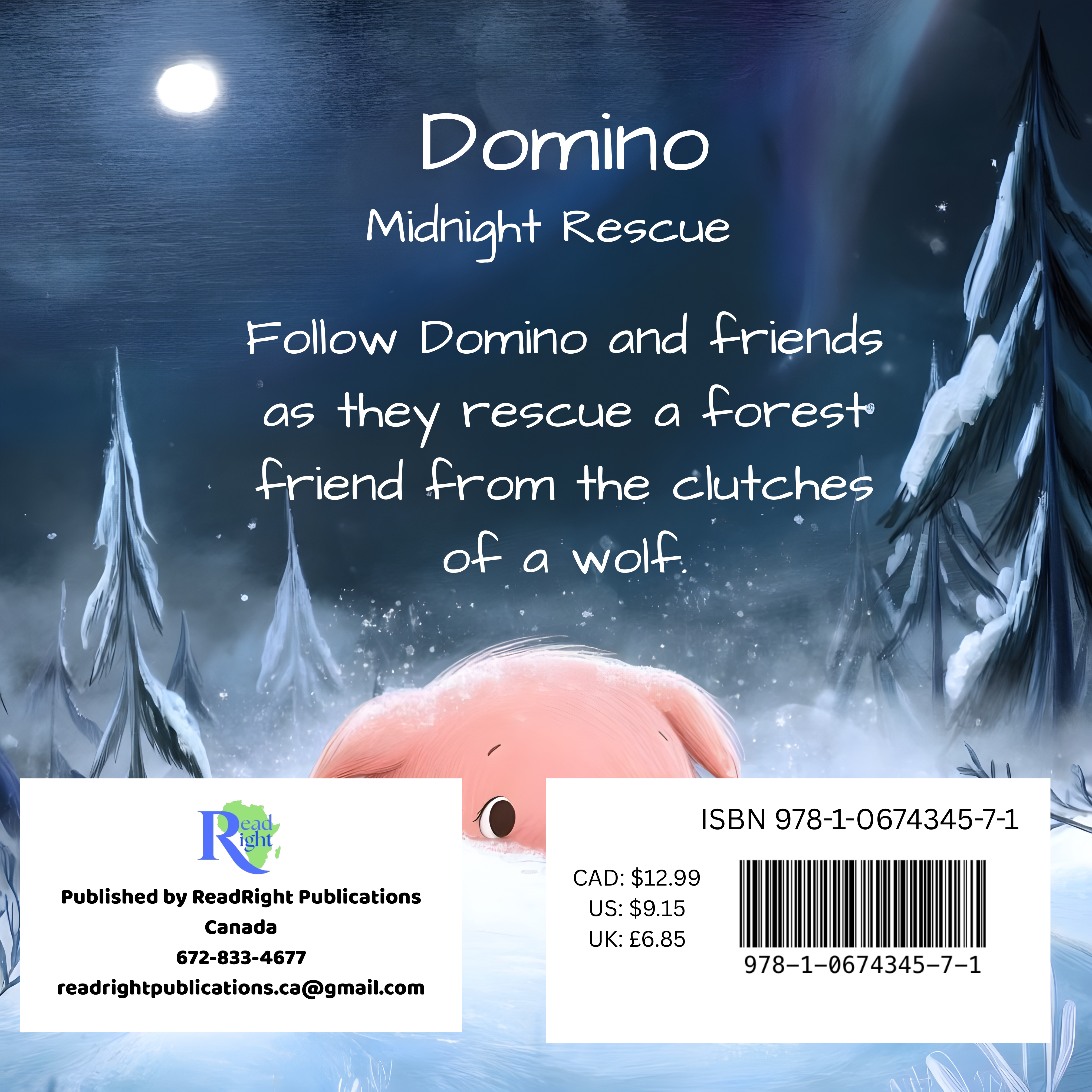 Domino's Midnight Rescue