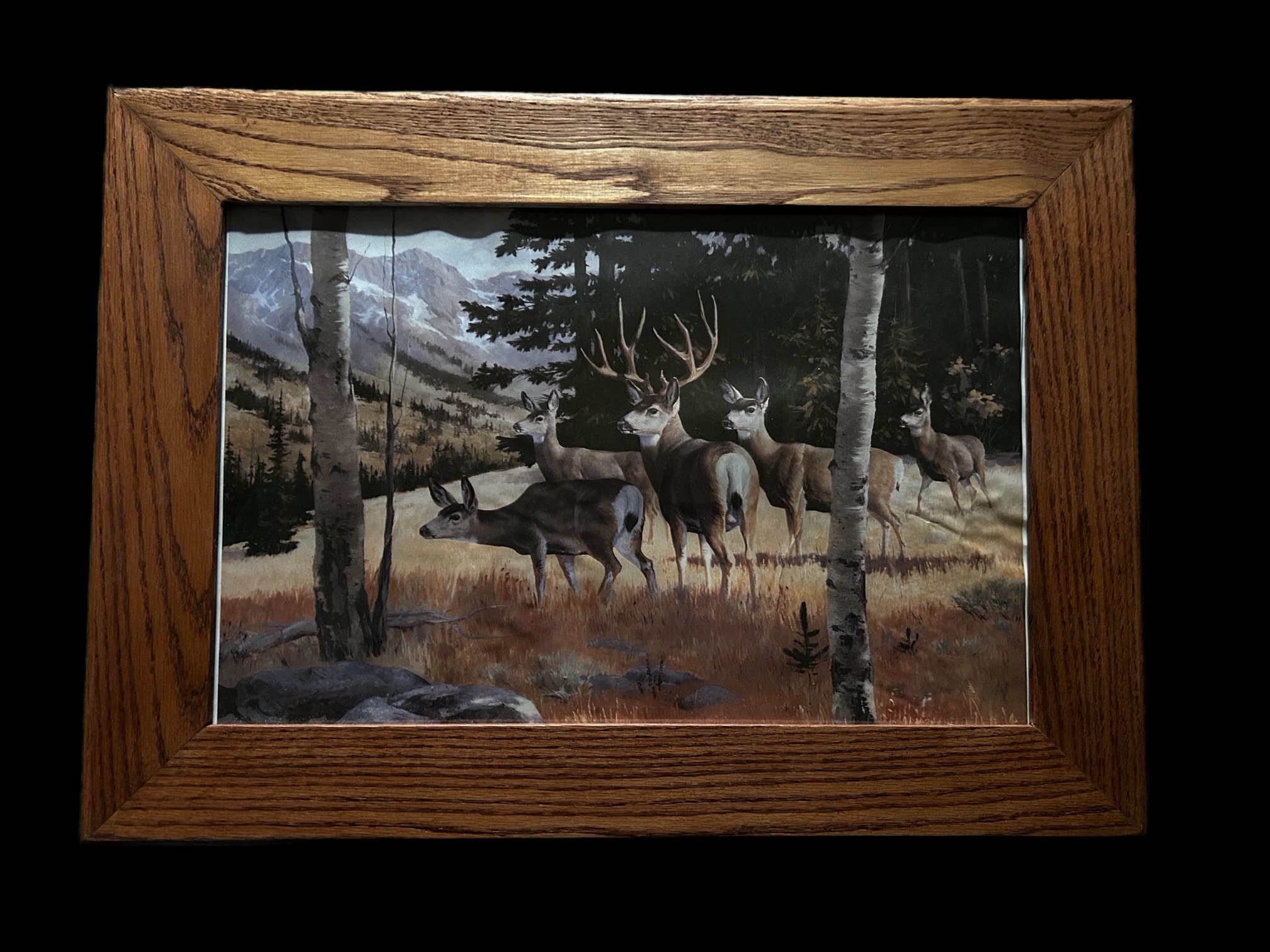 Framed Wildlife Deer Painting