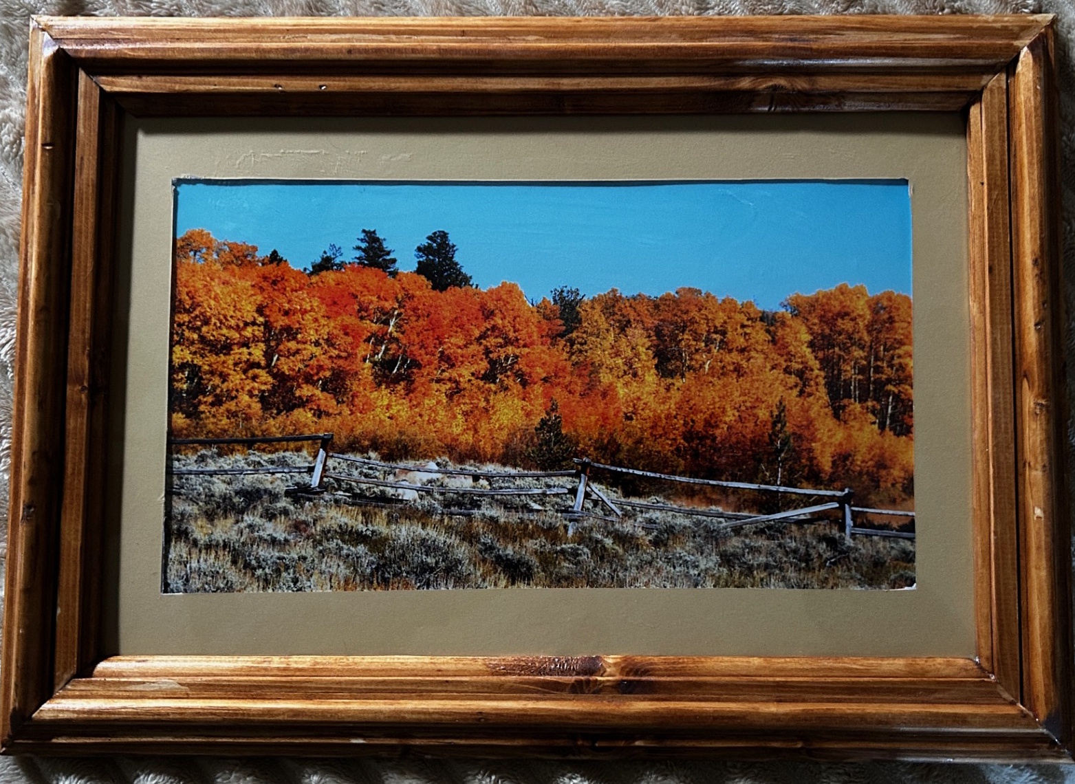 Wyoming in the Wind River Range Framed Autumn Landscape Print