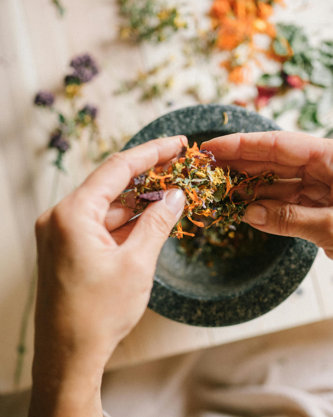 Faith‑Based Herbalism Course