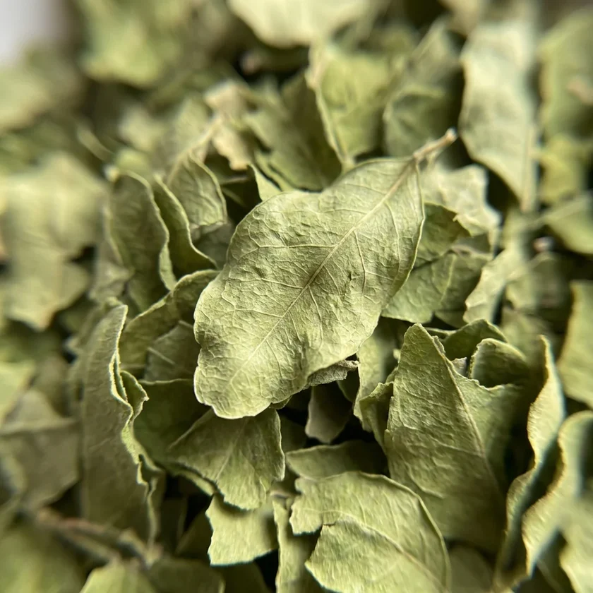 Feuilles de Moringa séchées – 50 g