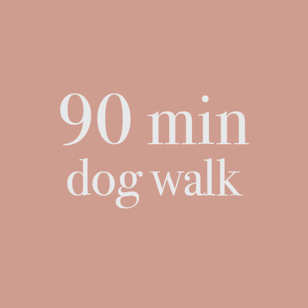  Dog Walk Adventure