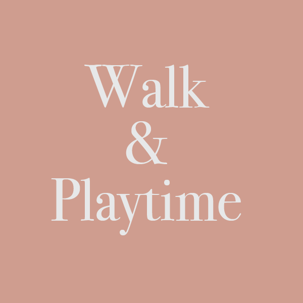 Dog Walking and Playtime Booking