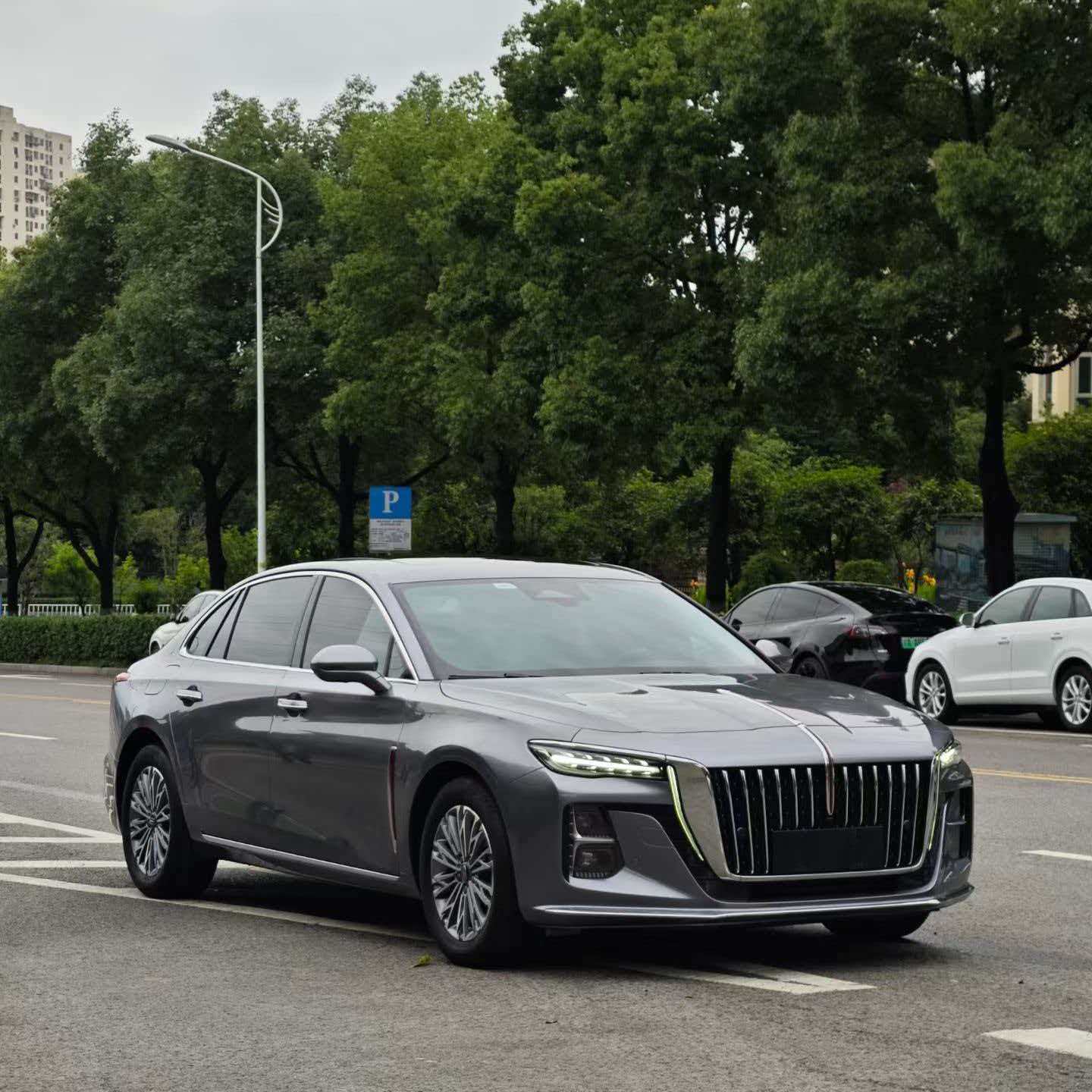 2023 Hongqi H5 Qi-Xiang Edition