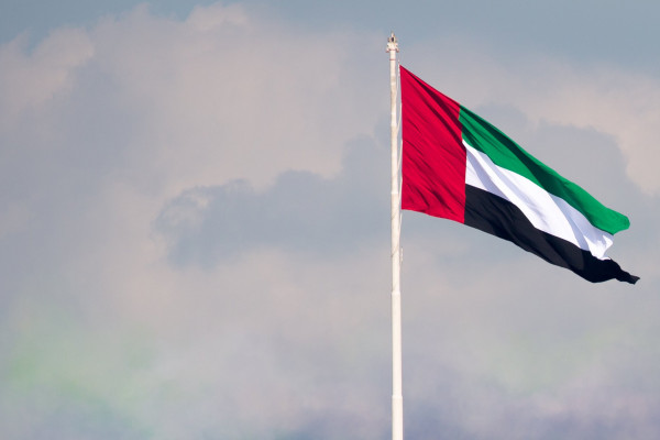 علم دولة الإمارات العربية المتحدة 300 × 150 سم
