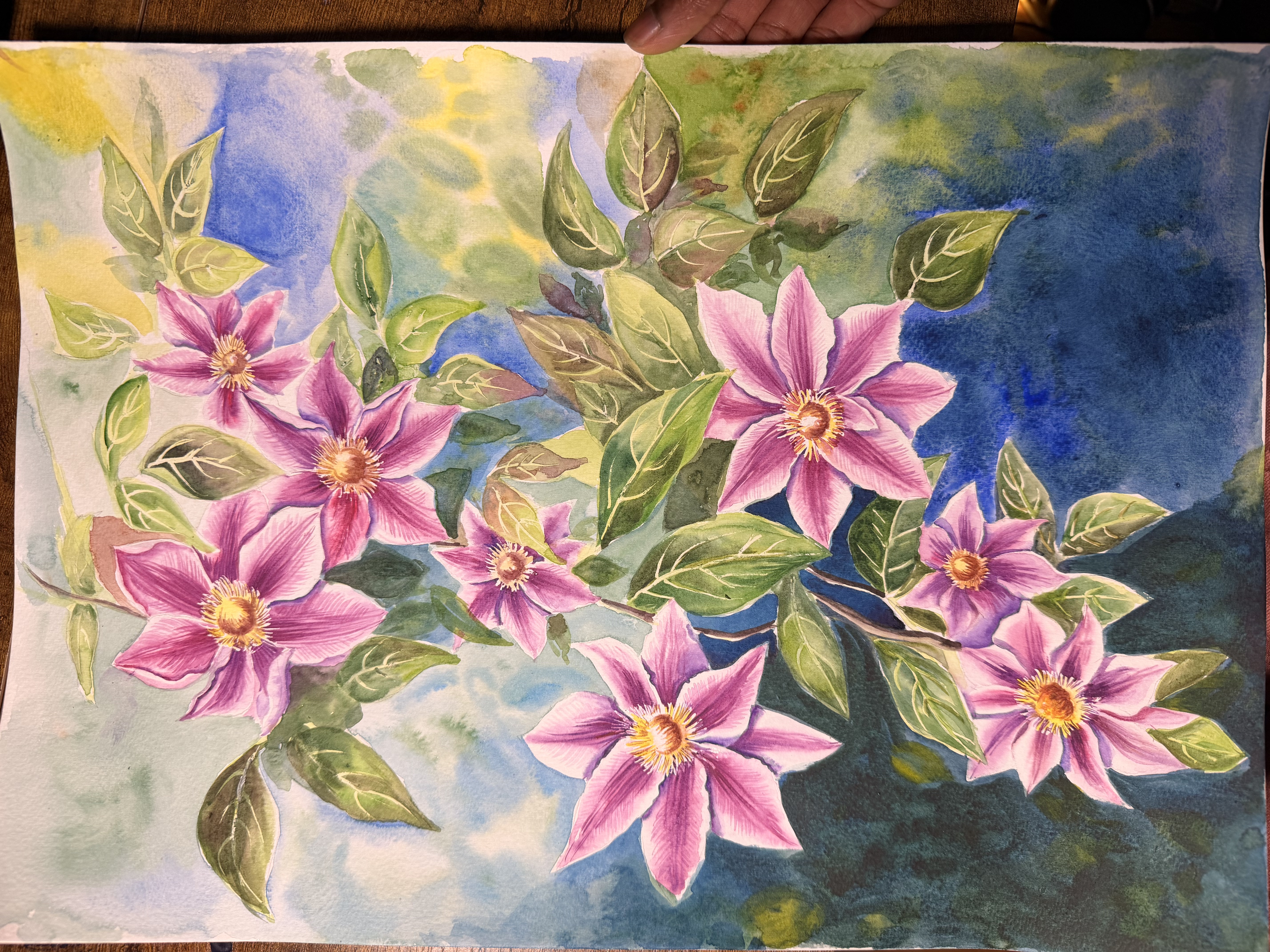 Clematis