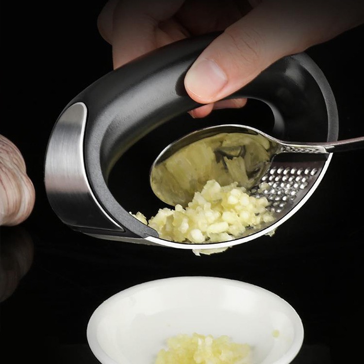 Stainless Steel Garlic Press